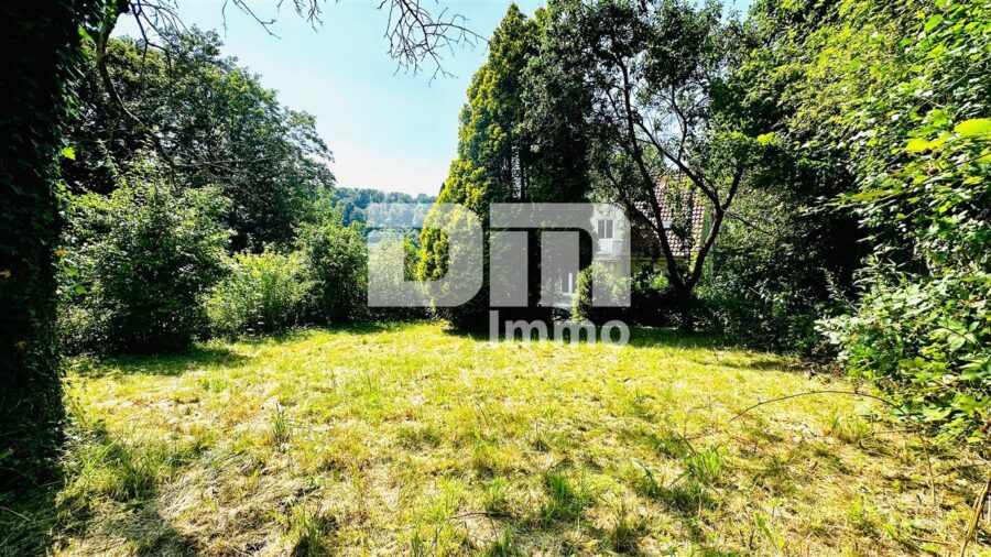 Herrschaftliches Ein- /Zweifamilienhaus BJ 1949 mit großem Garten in Traumlage - Gartenbereich